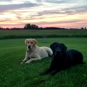 Meet your Posher, Skeeter